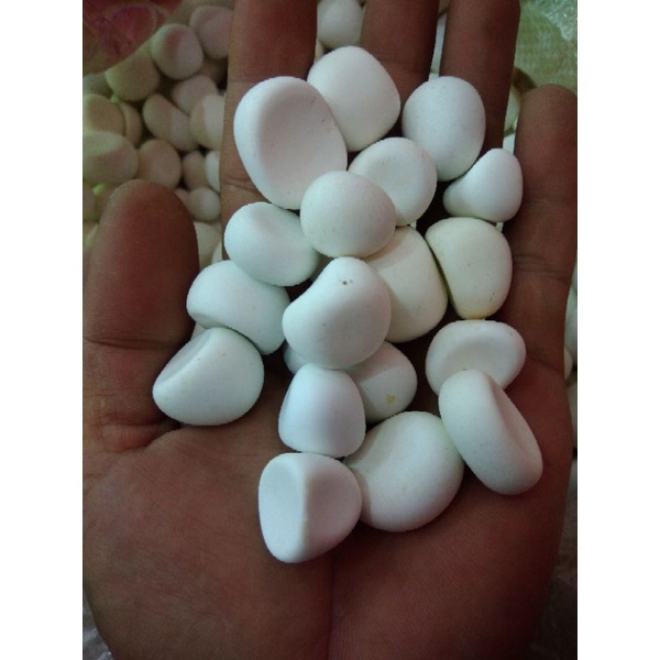 Batu Tidar Asli Batu