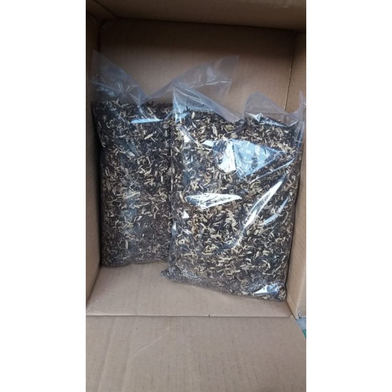 Media tanam sekam-pakis-klenteng siap pakai