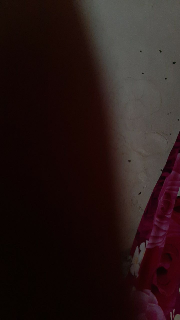 Payung Lipat 3 10jari Jumbo Nf 351a