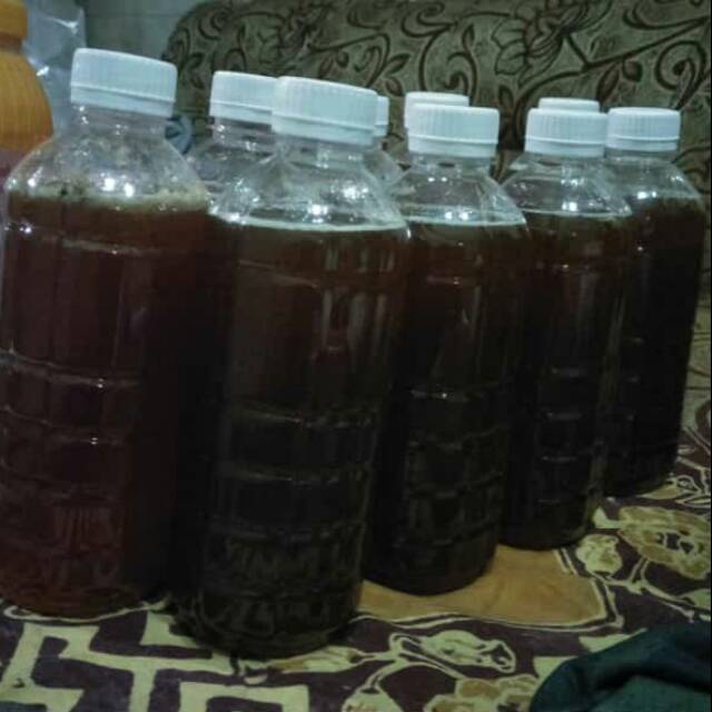 

Madu hutan NTT