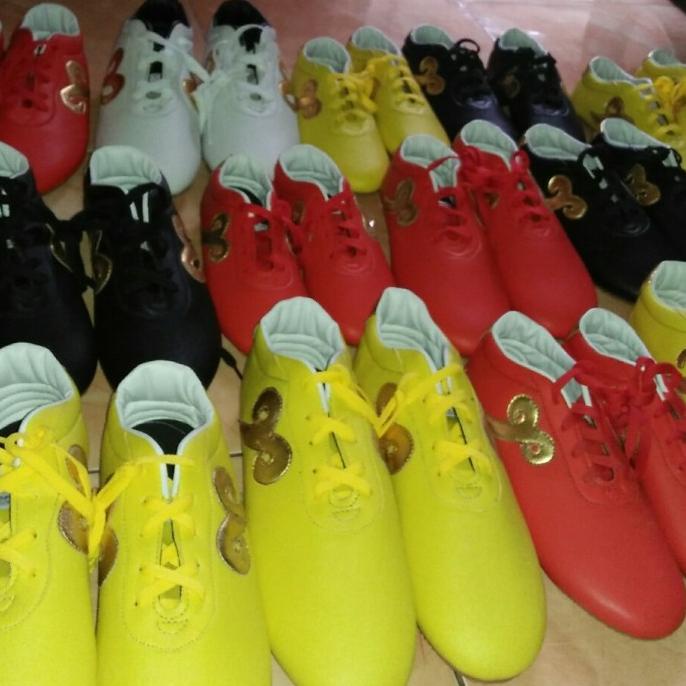 Sepatu Wushu Dc