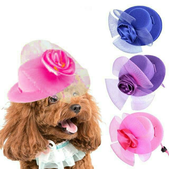 Topi bulat pita bunga cantik anjing kucing dog elegant simple murah fashionable hat