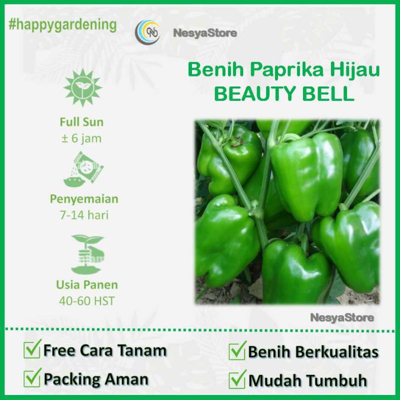 2 Benih Biji Paprika HIJAU BEAUTY BELL F1