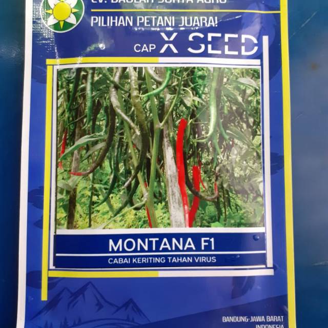 Benih Cabe Keriting Montana F1