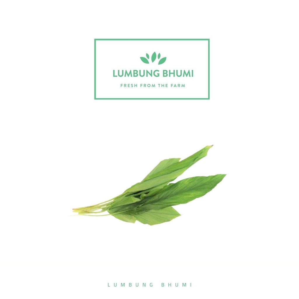 

Lumbung Bhumi - Daun Kunyit 100 Gr ( Sayur Curah )