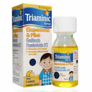  Triaminic  Obat  Batuk Pilek Expectorant Flu Anak Shopee 