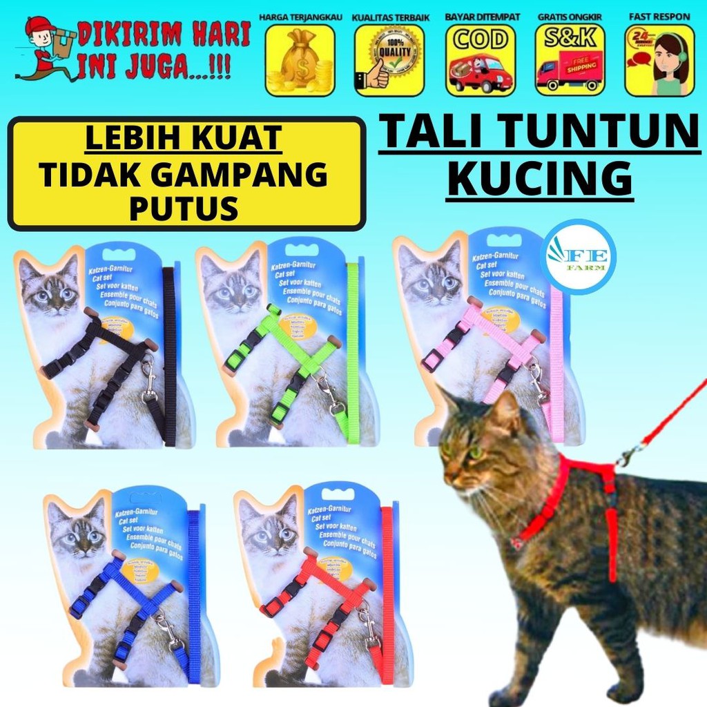 HARNESS H TALI TUNTUN KUCING - HARNEST HARNES KUCING CAT FEFARM