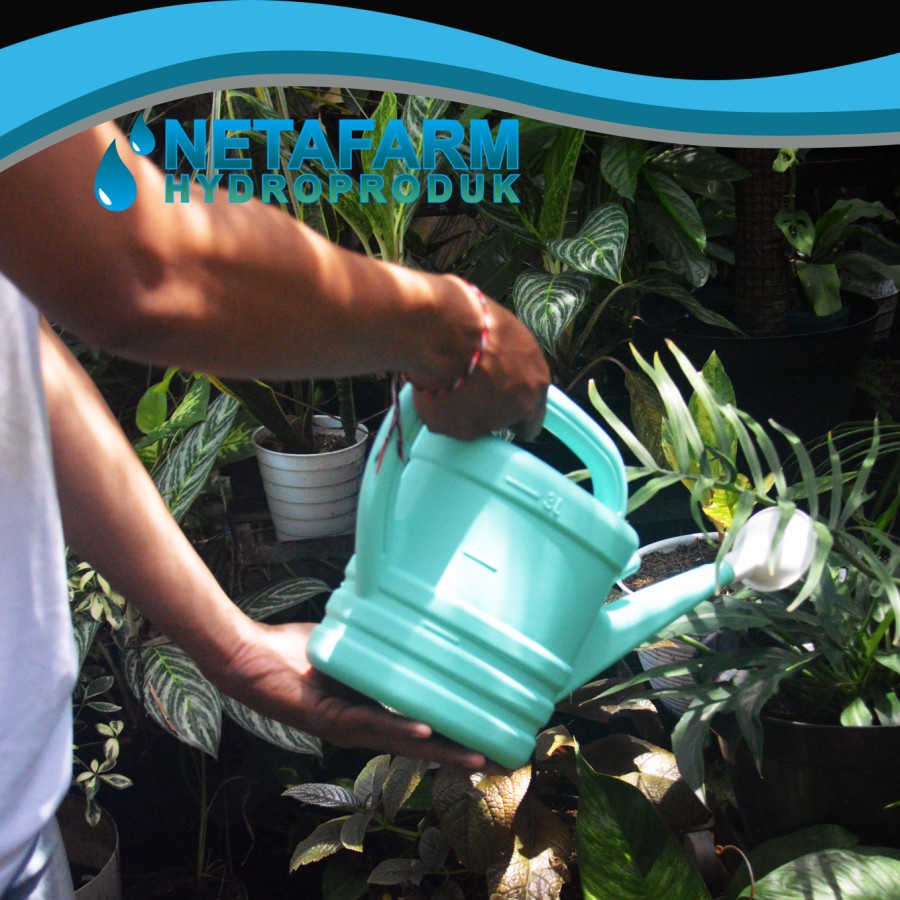 Gembor Air Ember Penyiram Tanaman Watering Can 3 Liter