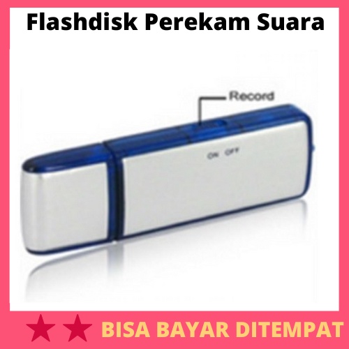 USB Flashdrive Sound Voice Recorder / Flashdisk Flasdisk Flasdish Flasdis Usba Voice Recorder Record