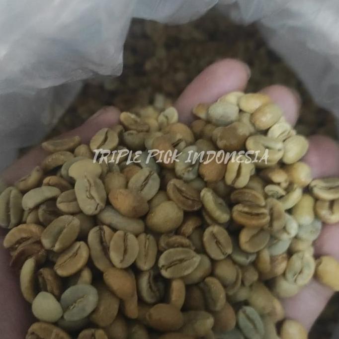 

Green bean / Biji kopi Arabika Mandailing - AnaErob Proces