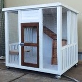 custom kandang kelinci kucing anjing bahan kayu jati