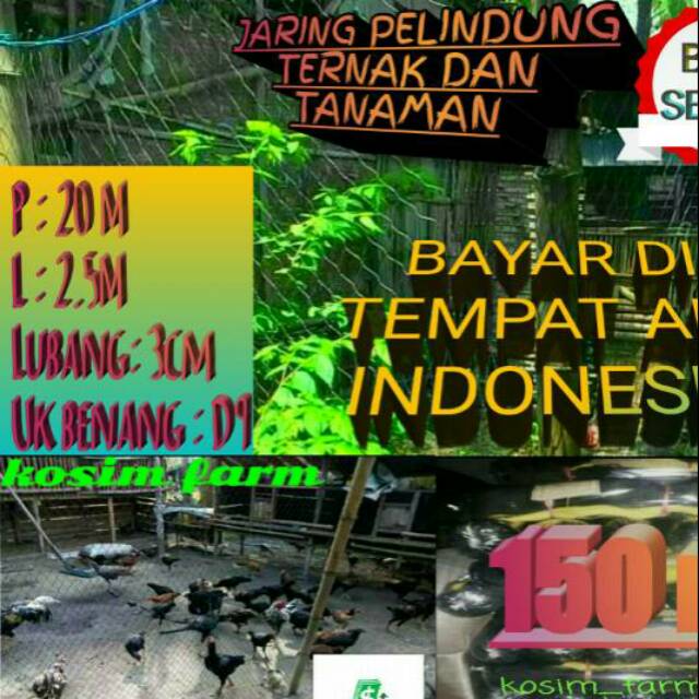 JARING PE, JARING PAGAR, JARING AYAM, JARING PAGAR AYAM, PAGAR AYAM