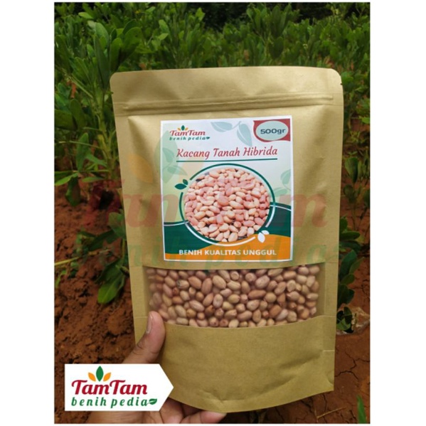 Jual Benih Kacang Tanah Hibrida Super Isi Gram Shopee Indonesia