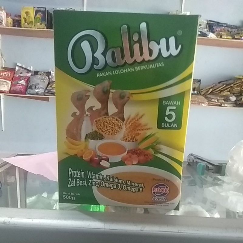 Balibu Ebod Jaya bubur lolohan burung