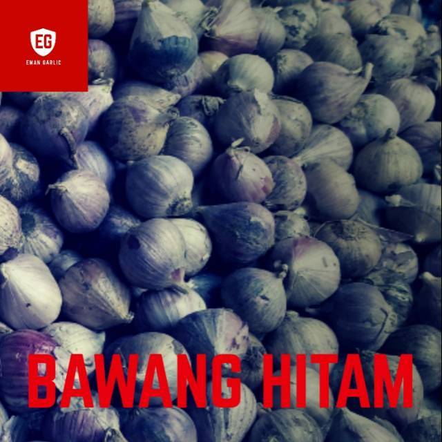 

Bawang Hitam Tunggal