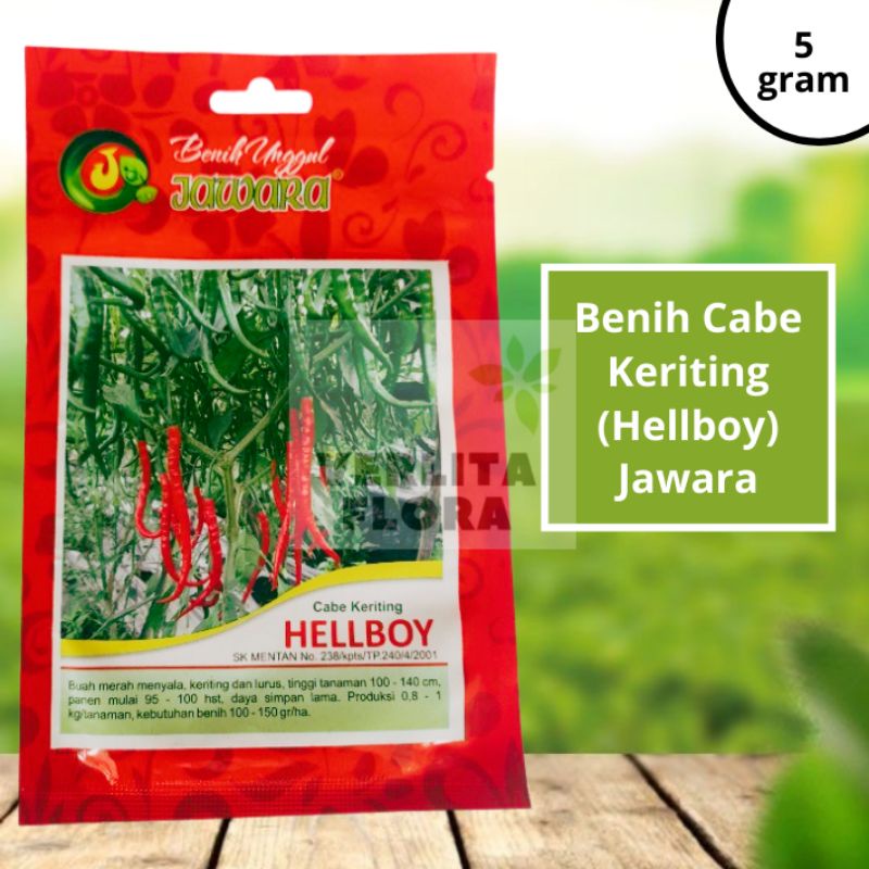 Benih Bibit Cabe Keriting Hellboy - Jawara