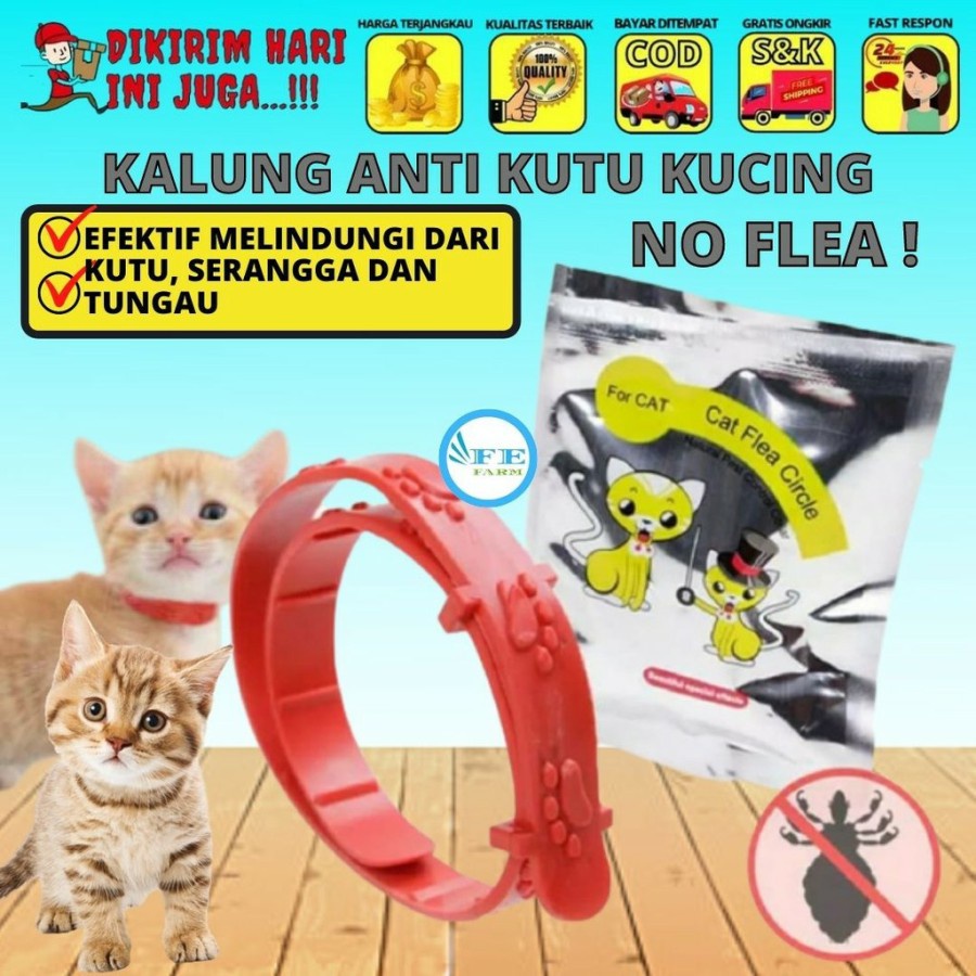 Main Kucing Kalung Kucing Anjing Motif Jejak Kaki Lonceng Murah