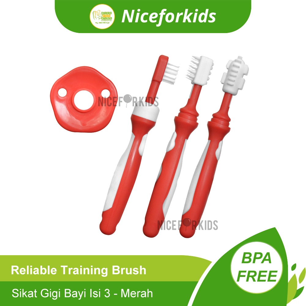 Reliable Training Toothbrush Sikat Gigi Bayi 3 Step