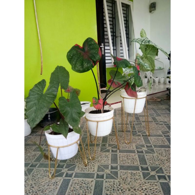 standing besi,besi tempat pot,standing planter,tempat bunga besi.