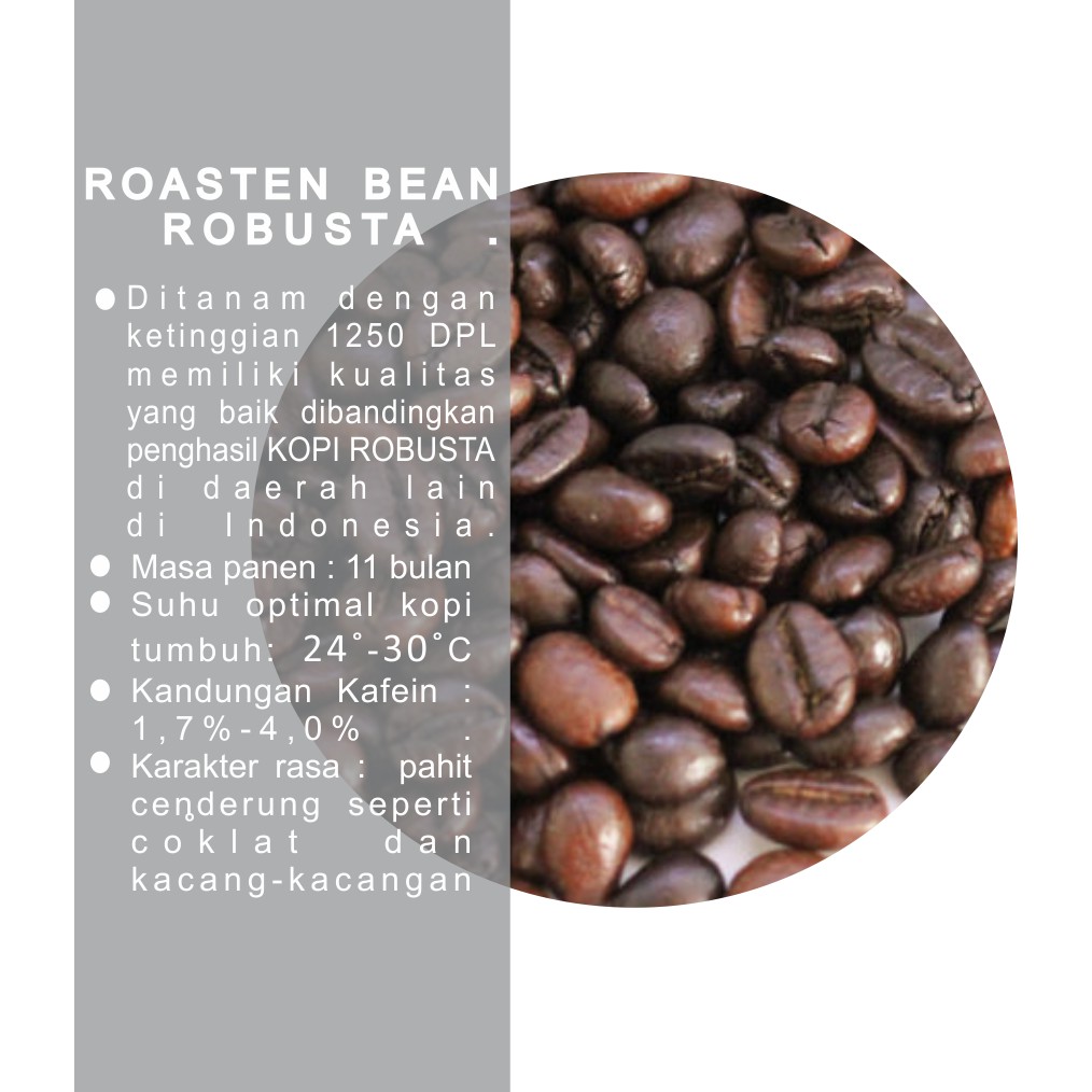 

ROBUSTA GAYO ROASTEN BEAN