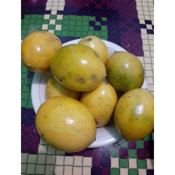 

1kg buah markisa kuning segar murah