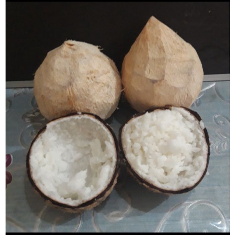 

Kelapa kopyor asli