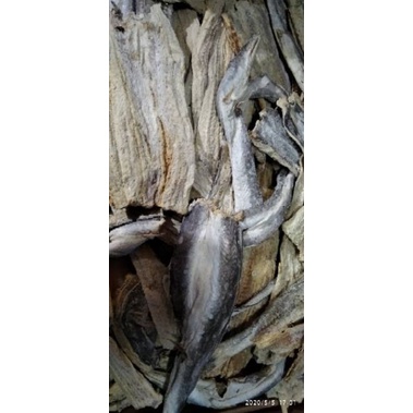 

Ikan Asin Belut asli dari pengandaran