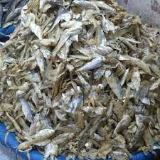 

Ikan Teri Sampah 100gr