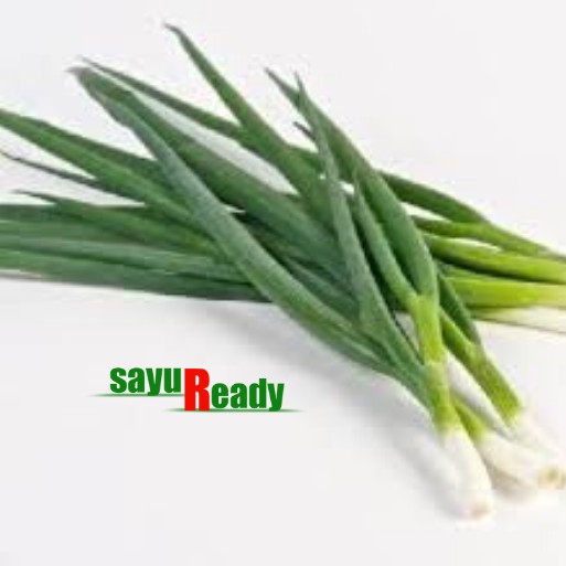 

Daun Bawang (bisa request dengan seledri)