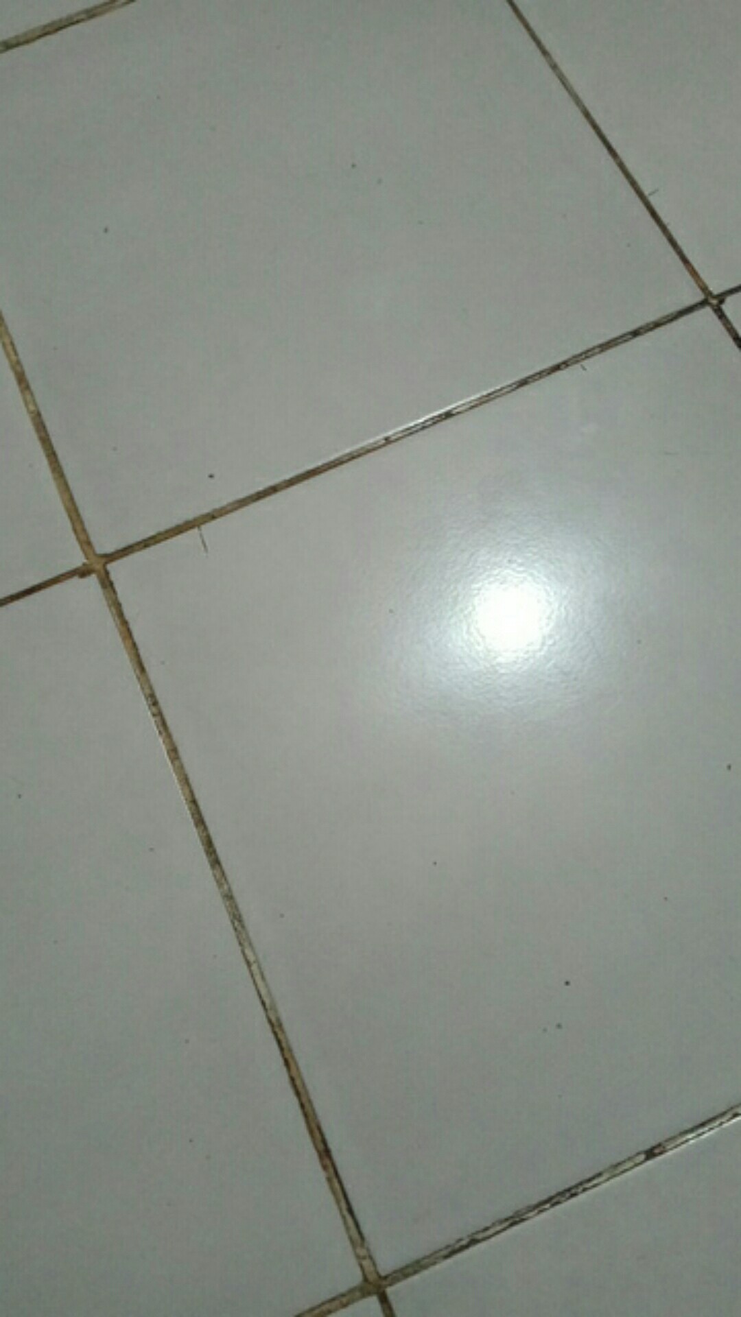 Pengocok Telur Adonan Polkadot