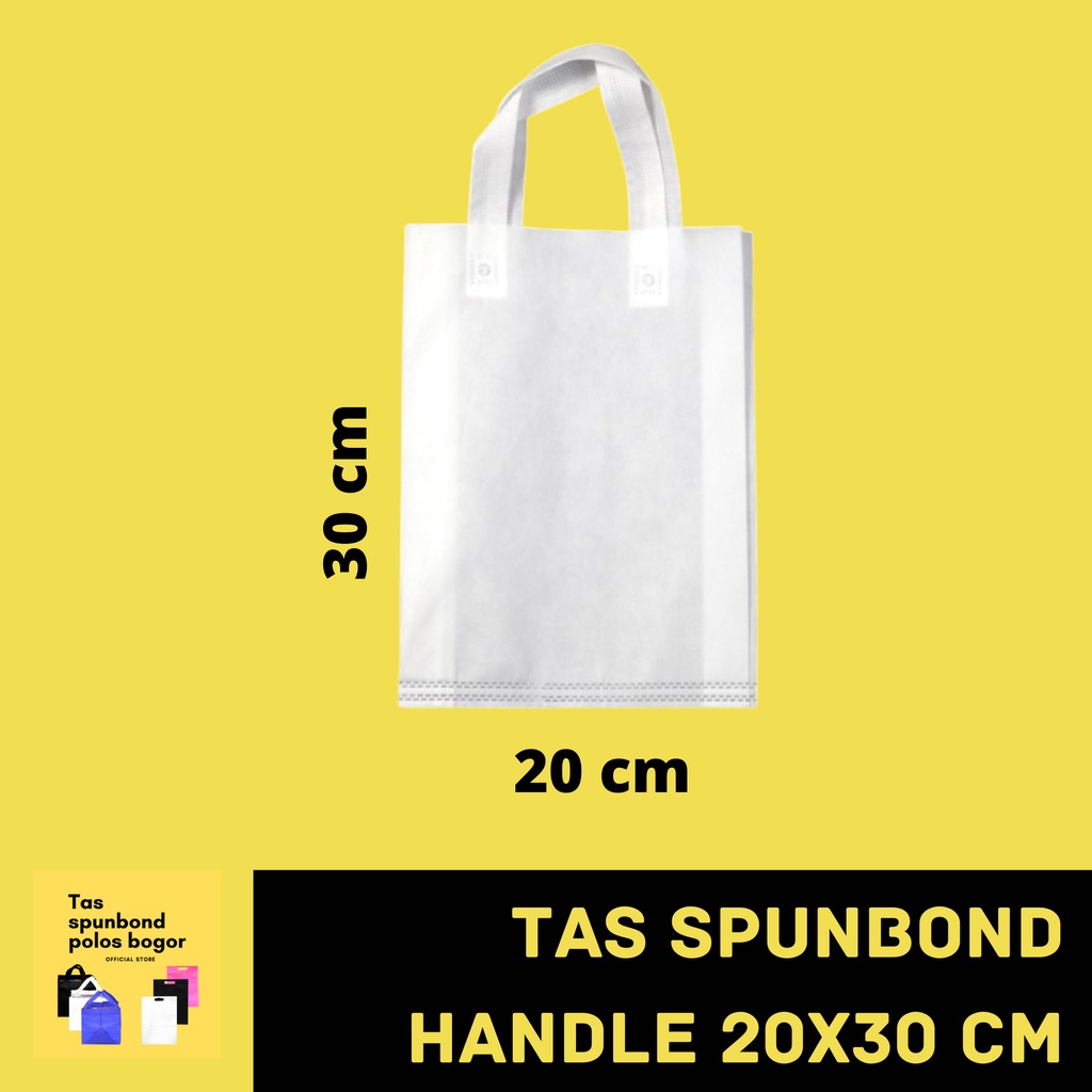 GOODIE BAG TAS SPUNBOND HANDLE 20x30 cm - PUTIH