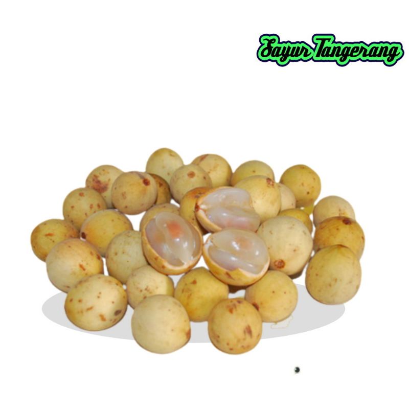 Buah Dukuh Duku 1 kg Fresh