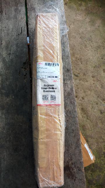 Anggrek Tanah Paket Hemat