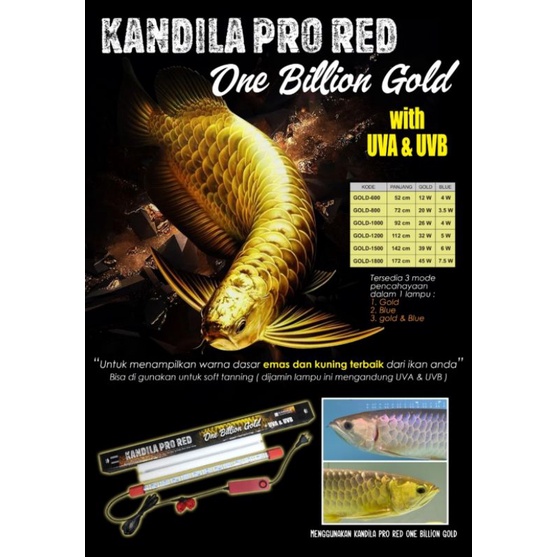 KANDILA PRO RED ONE BILLION GOLD Plus UV A &amp; UV B Nyala 3Mode Pencahayaan Lampu Led Tanning Arwana Golden Red View