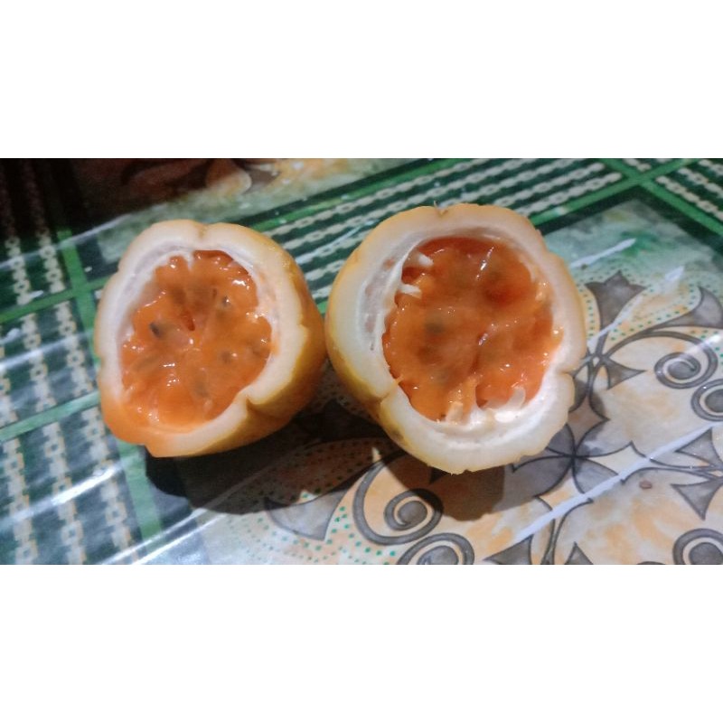 

Markisa Kuning