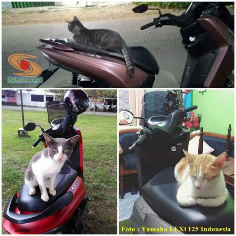 Cover Jok Sarung Penahan CAKARAN KUCING NMAX PCX AEROX VARIO SCOOPY Beat Genio  Mio Spacy Universal