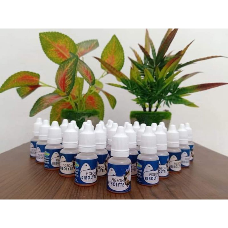 rebolite/jamu merpati/vetafram/vitamin merpati/doping merpati