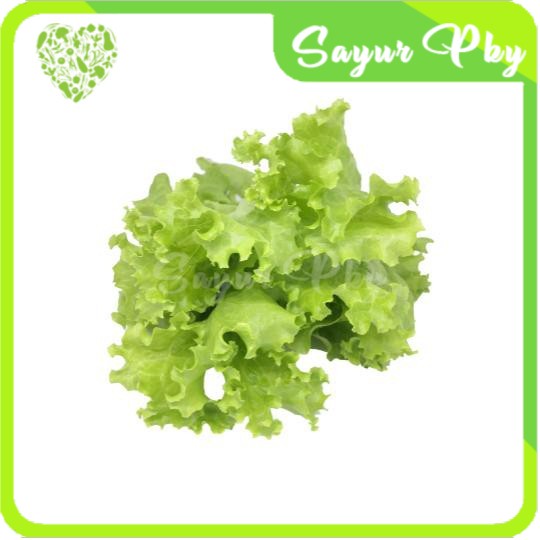 

Selada Lokal 500 gr