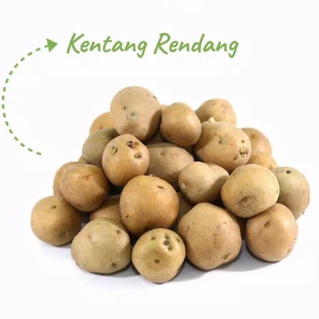 Kentang lokal ukuran kecil / baby potato