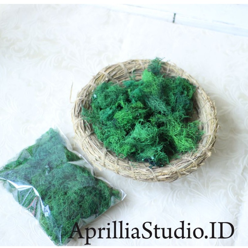 Serabut Rumput Angin Asli Sintetis Hijau 25gr Bahan Kerajinan Untuk Dekorasi Rustic &amp; Craft