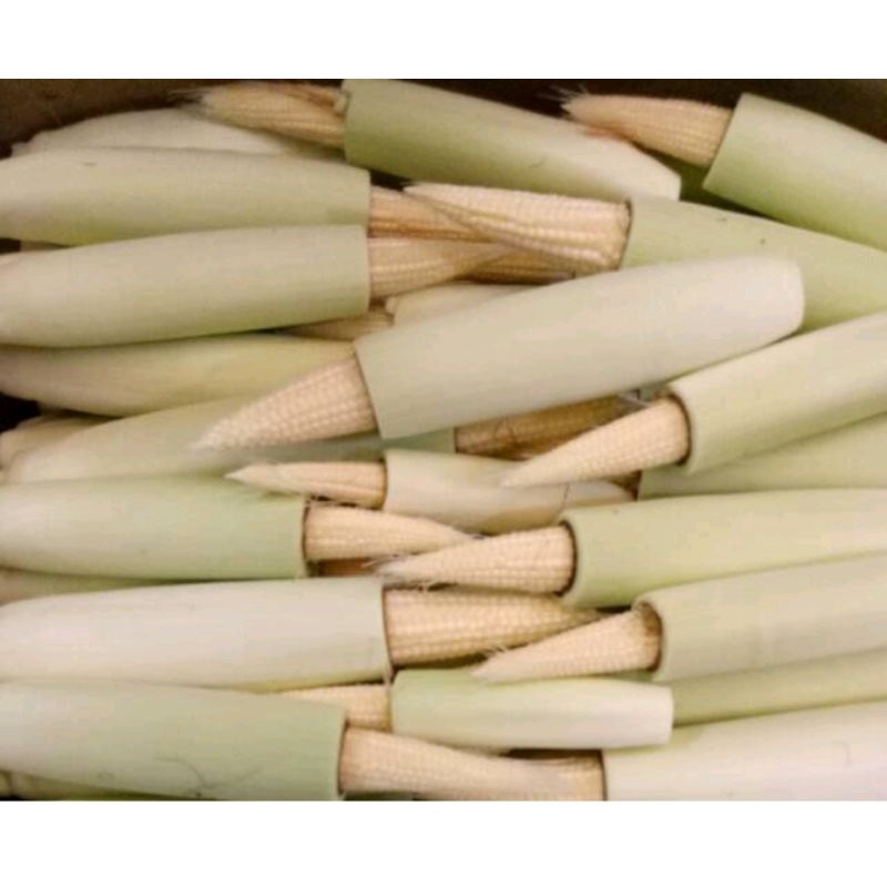 

JAGUNG MUDA 250 gr