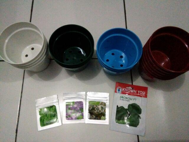 Benih Bibit Brokoli Broccoli Green Super, Known You Seed, Original Packing