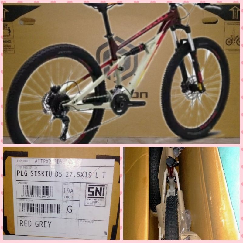 Polygon Siskiu D5 2021