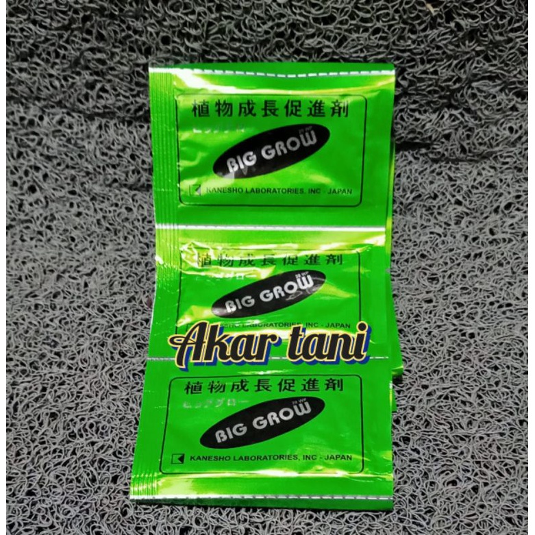 zpt BIG GROW isi 5gram