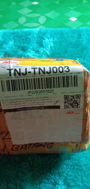 Paket 4 Batang Bibit Bunga Kamboja Jepang Adenium Triple Warna Terbaru 2019 Bonggol Besar