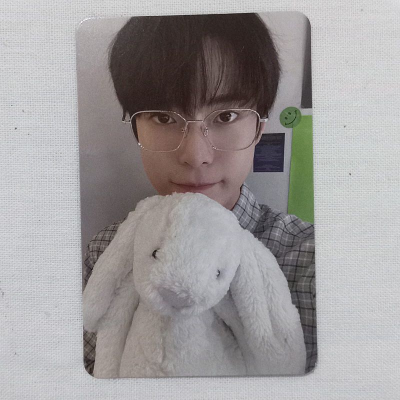PC DOYOUNG BUNNY KELINCI STICKER PB VER
