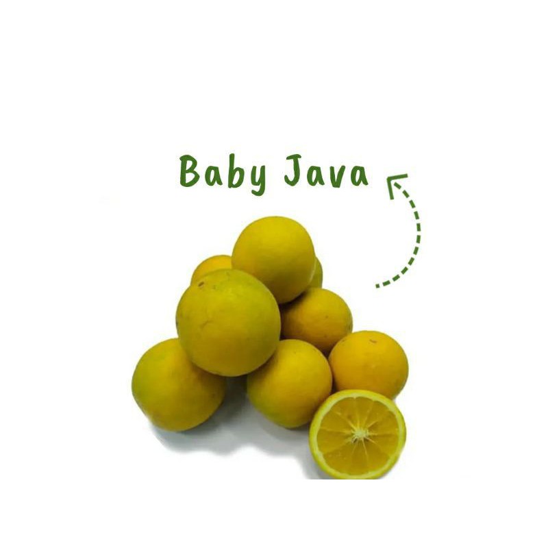 

[SAYUR EMAK] JERUK BABY JAVA 500 GRAM / BUAH SEGAR MURAH