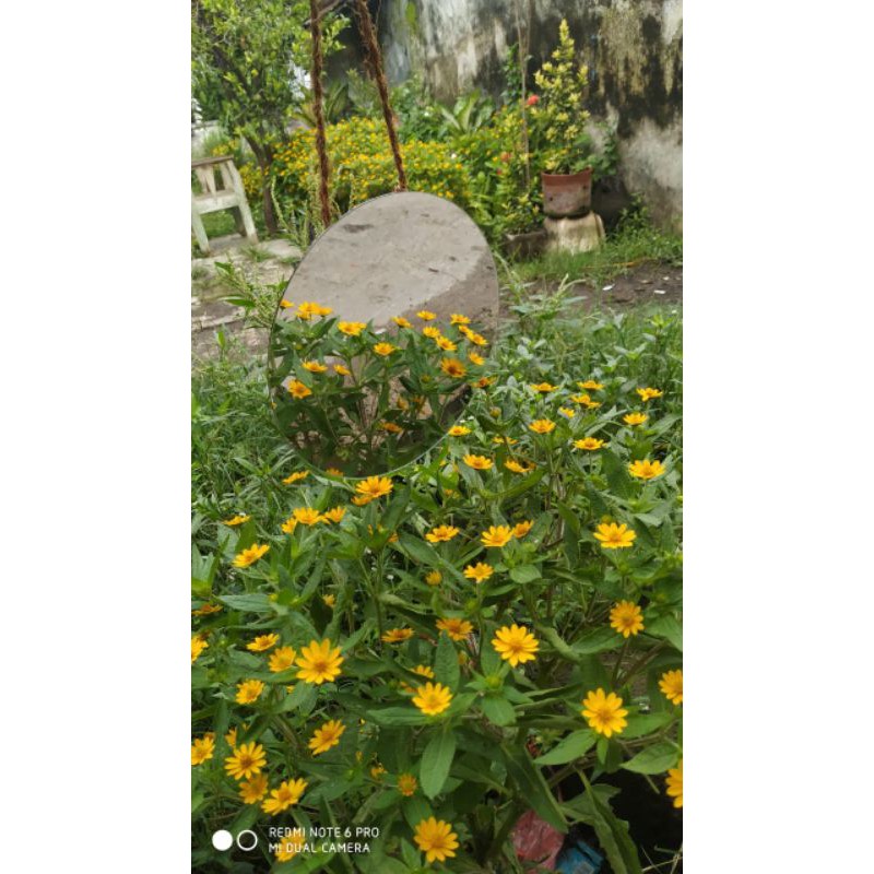 cermin tali rami cermin bulat cermin aesthetic cermin rias bundar cermin tempel dinding gantung 20cm-6