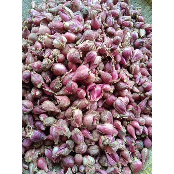 

Bawang Merah besar 250g