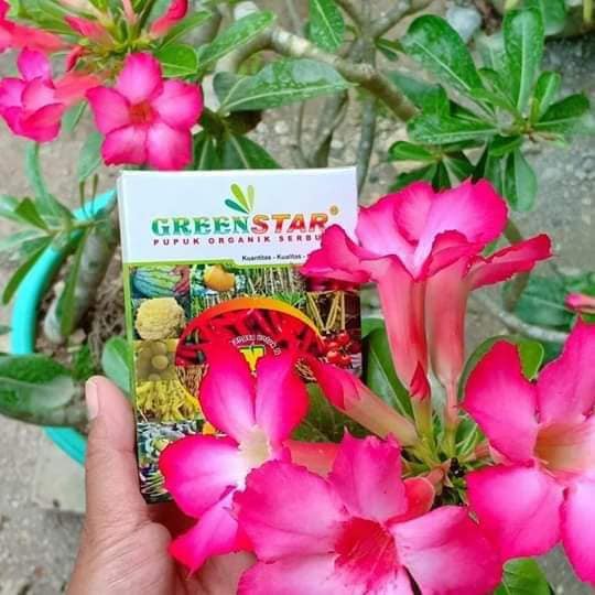 PUPUK GREENSTAR NASA